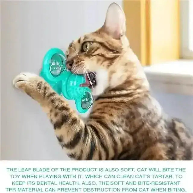 Cat Teases Interactive Pet Toy DailySale Green Yellow Blue Green-Yellow-Blue-