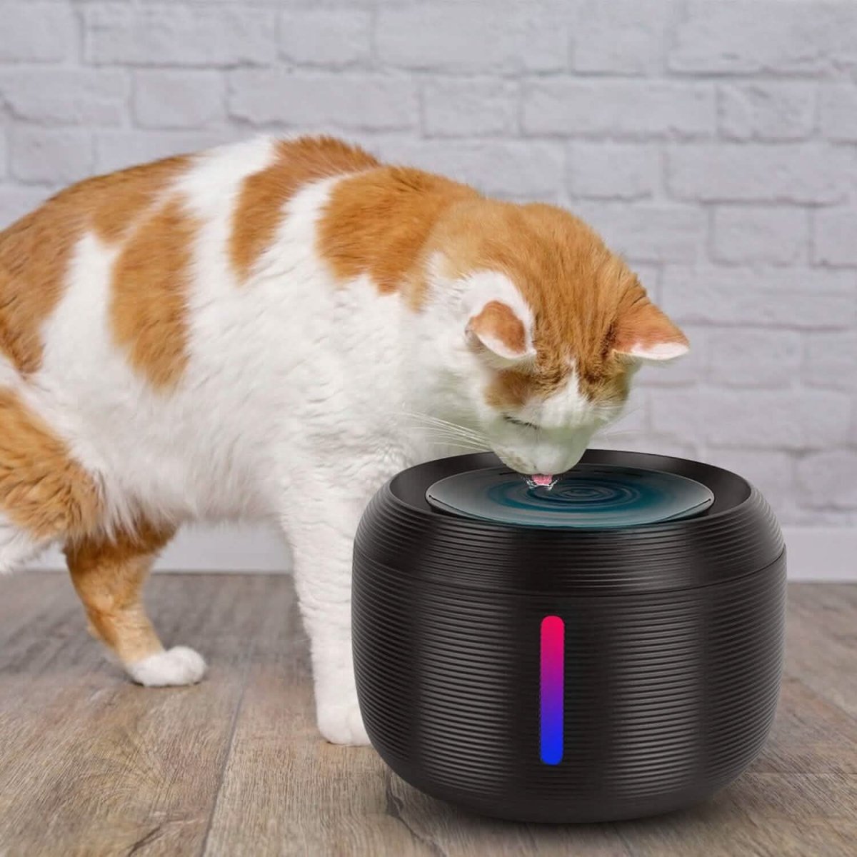 Smart Pet Drinking Fountain with LED Light 7 - Pack Replaceable Water Filters - Cartsfy Inc.