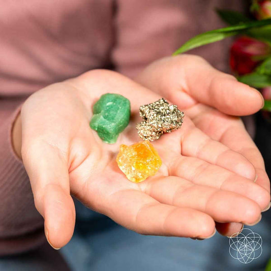 The Abundance Trio Cartsfy Inc.