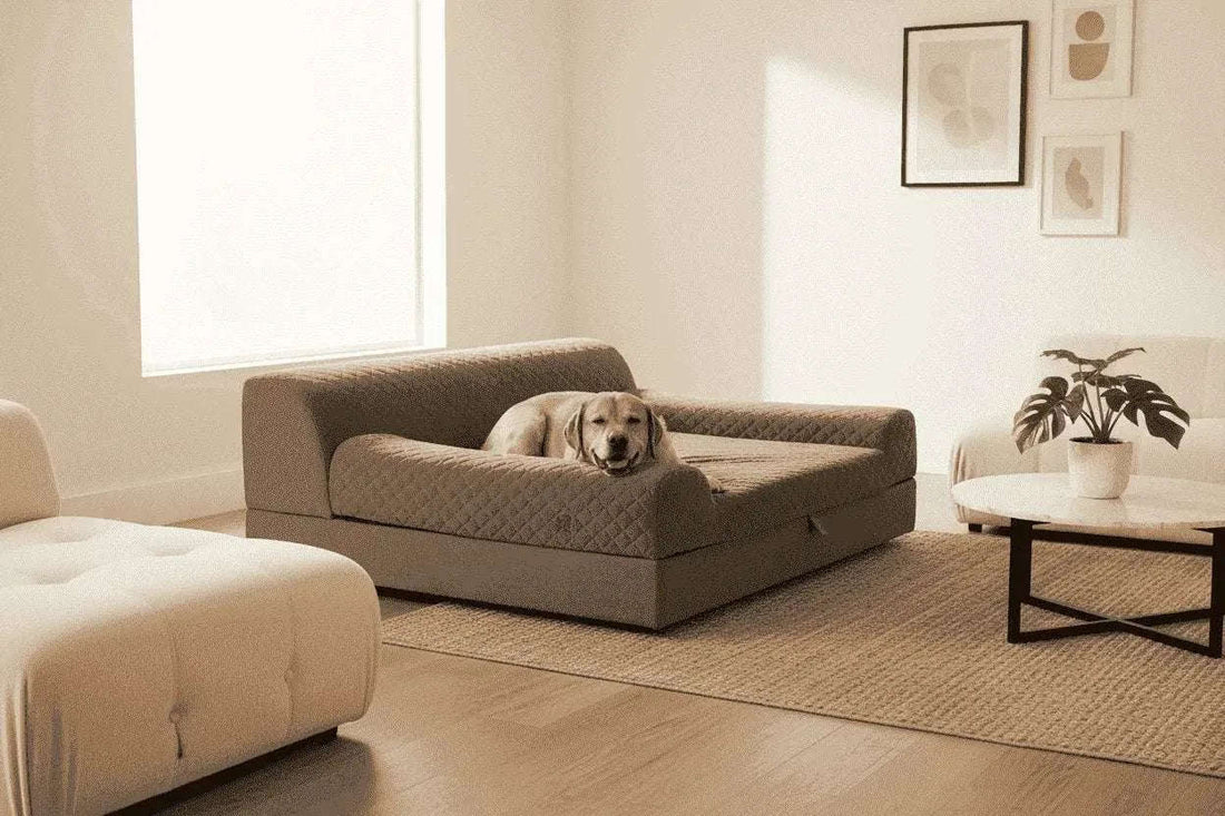 Discover the Best Dog Bed for Large Breeds in 2026 Cartsfy Inc.