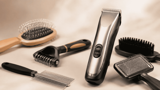 Pet Grooming Tools: 2026 Guide for Every Coat Type