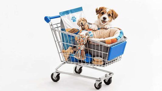 The Savvy Pet Owner's Guide to Any Pet Supplies Online Store Cartsfy Inc.