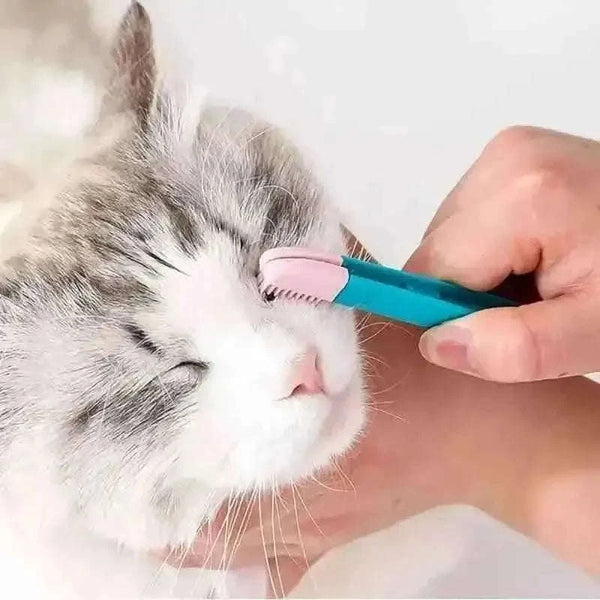 Pet