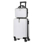 2 - Piece Spinner Luggage Set – 20” Carry - On & 14” Crossbody Handbag - Cartsfy Inc.