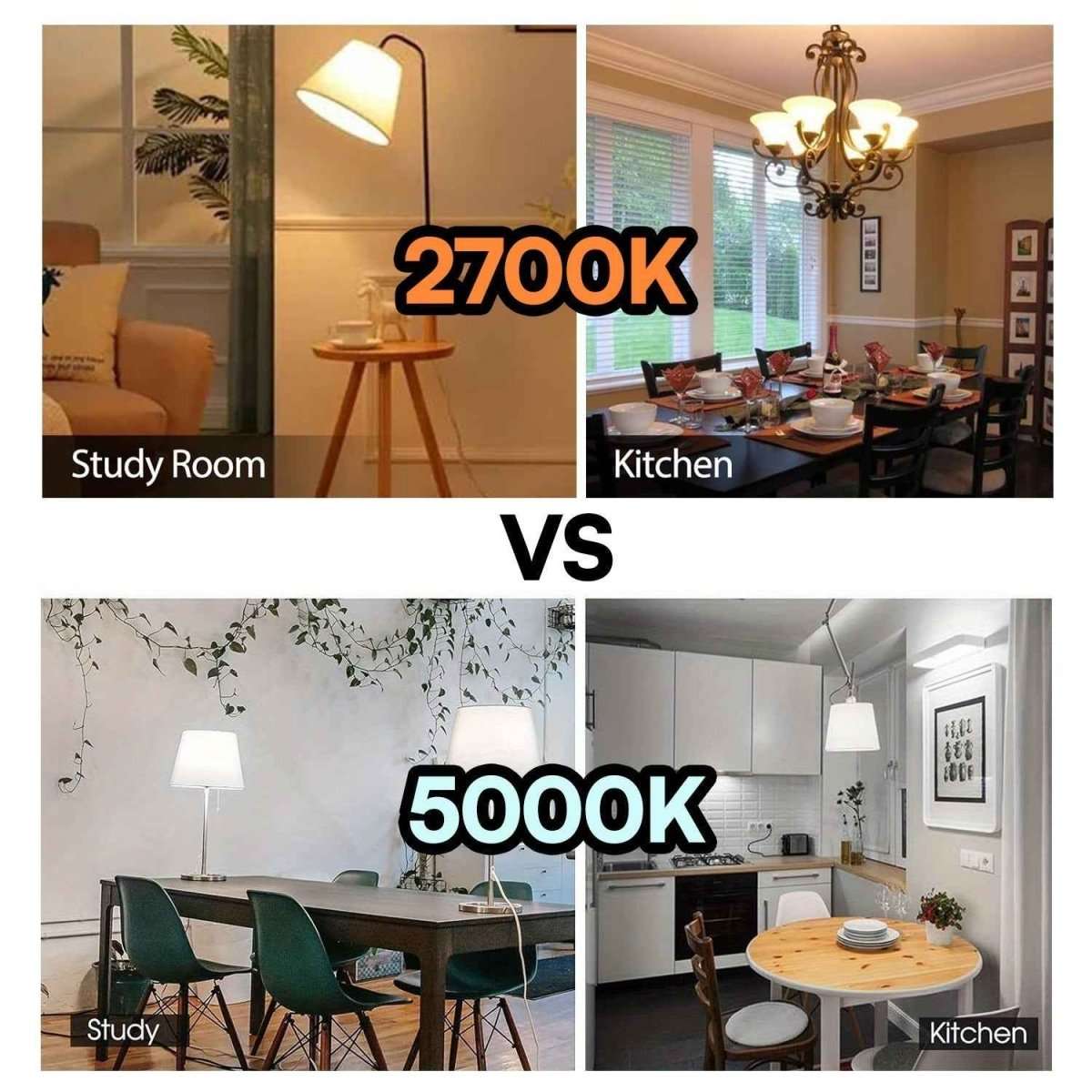 4-Pack A19 LED Light Bulbs, 60W Equivalent, Soft White or Cool Daylight, E26 Base, Non-Dimmable Cartsfy Inc.