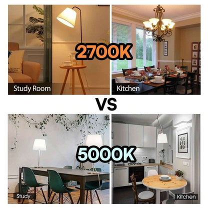 4-Pack A19 LED Light Bulbs, 60W Equivalent, Soft White or Cool Daylight, E26 Base, Non-Dimmable Cartsfy Inc.