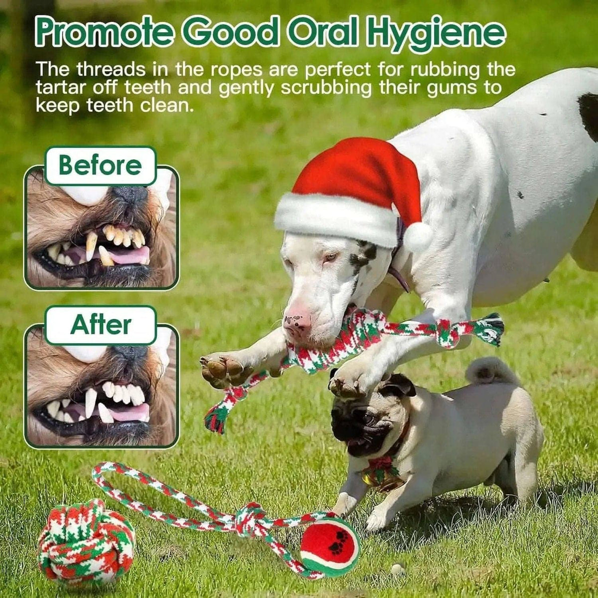 5-Pieces: Christmas Dog Rope Chew Toys DailySale Default Title Default Title-