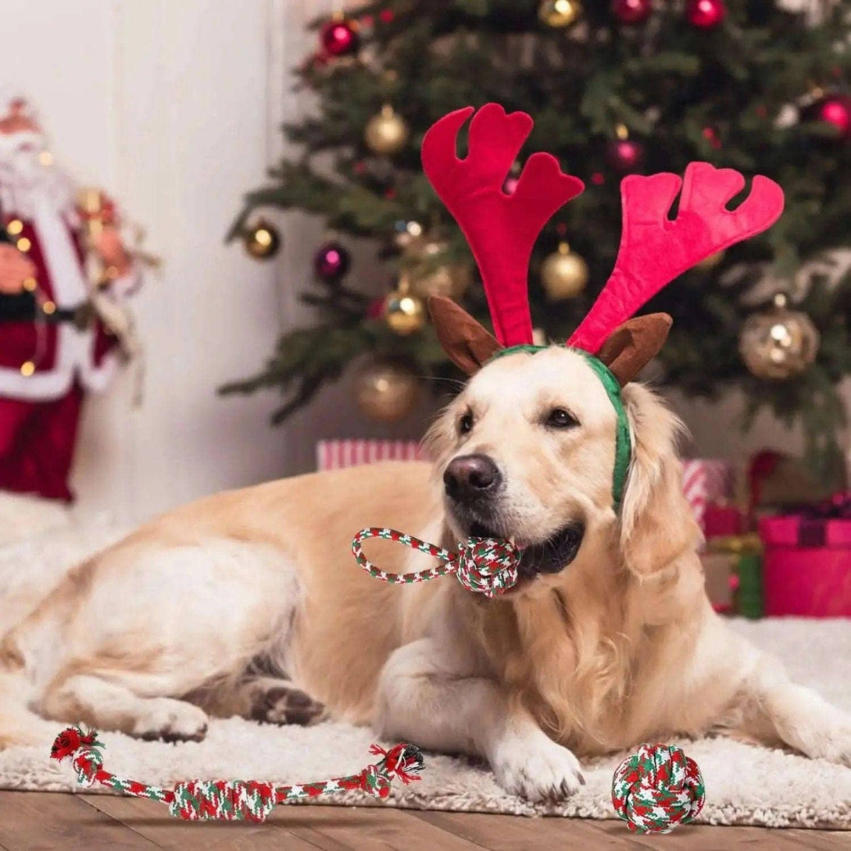 5-Pieces: Christmas Dog Rope Chew Toys DailySale Default Title Default Title-