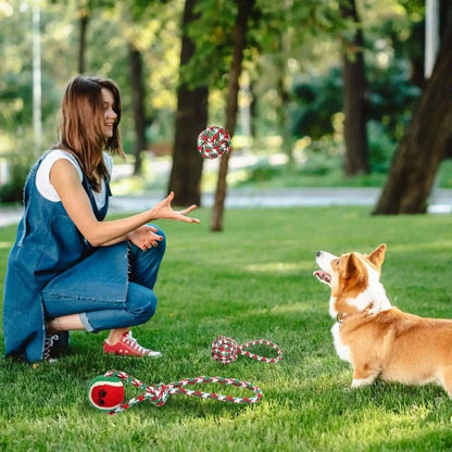 5-Pieces: Christmas Dog Rope Chew Toys DailySale Default Title Default Title-
