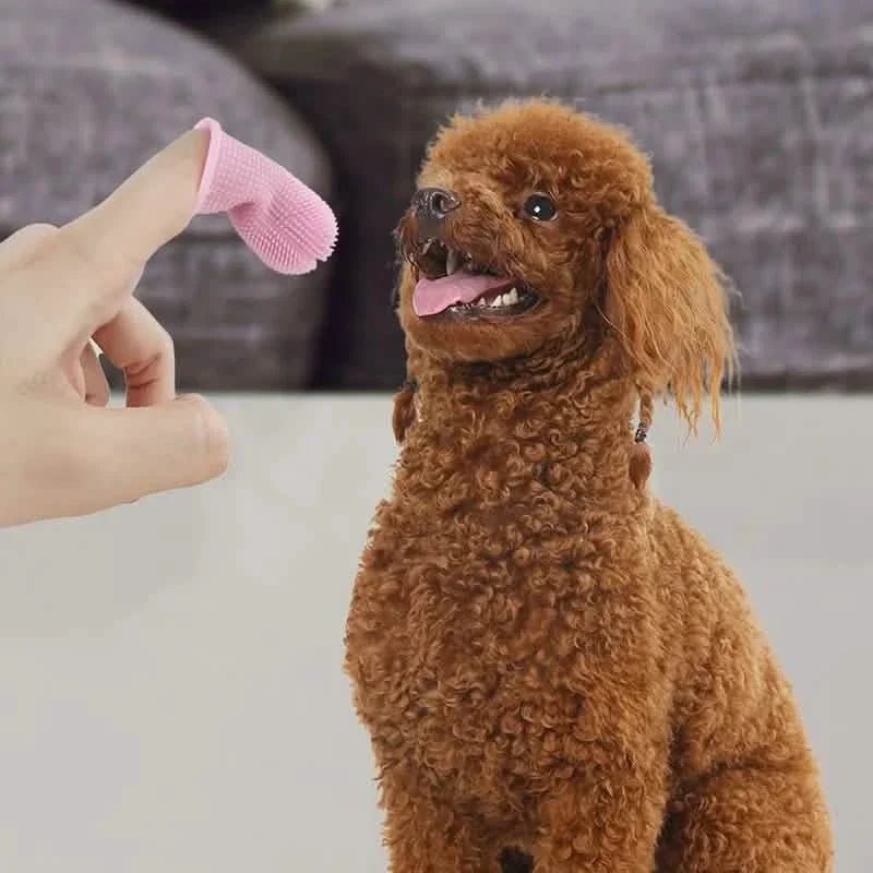 5 - Pieces: Super Soft Pet Finger Toothbrush Teeth Cleaning Silicone Tooth Brush - Cartsfy Inc.