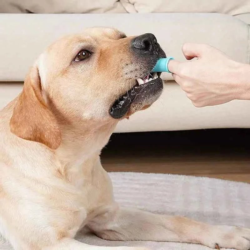 5 - Pieces: Super Soft Pet Finger Toothbrush Teeth Cleaning Silicone Tooth Brush - Cartsfy Inc.
