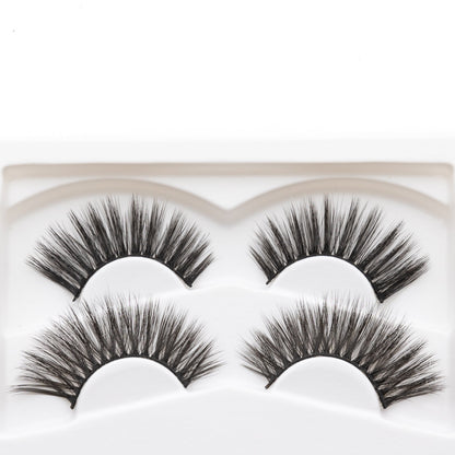 Close-up of four reusable false eyelashes in a white molded tray
