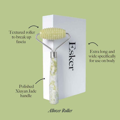 Allover roller on display box: textured light-green head and speckled handle