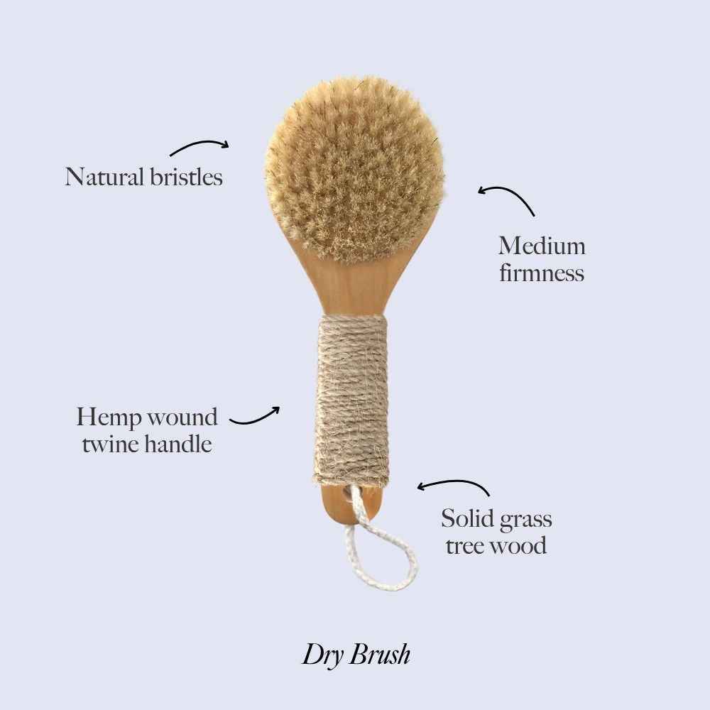 Natural bristle dry brush with hemp twine handle and solid grass tree wood base