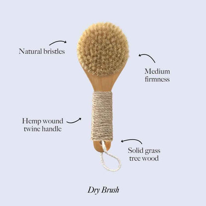 Natural bristle dry brush with hemp twine handle and solid grass tree wood base