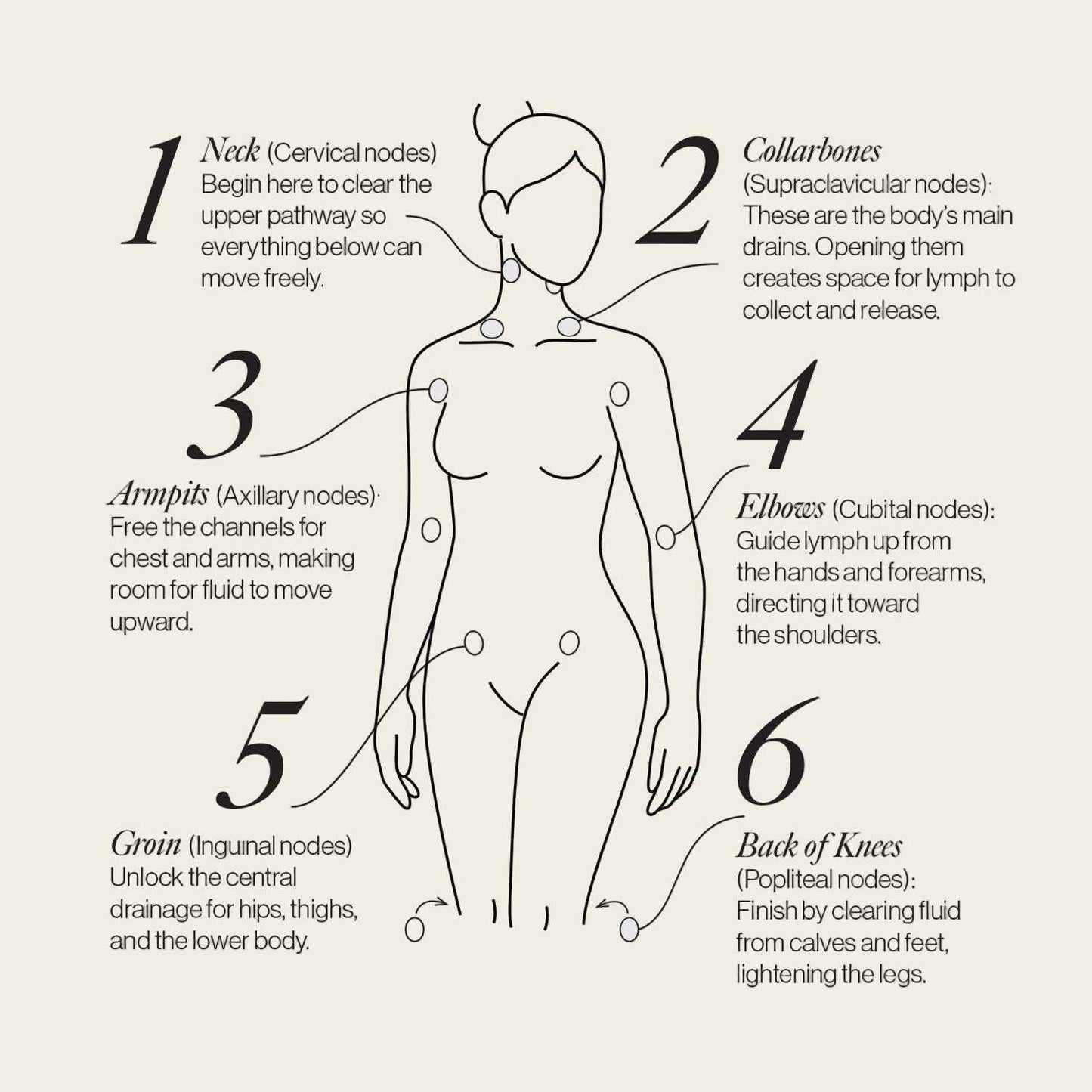 Lymphatic Drainage Dots