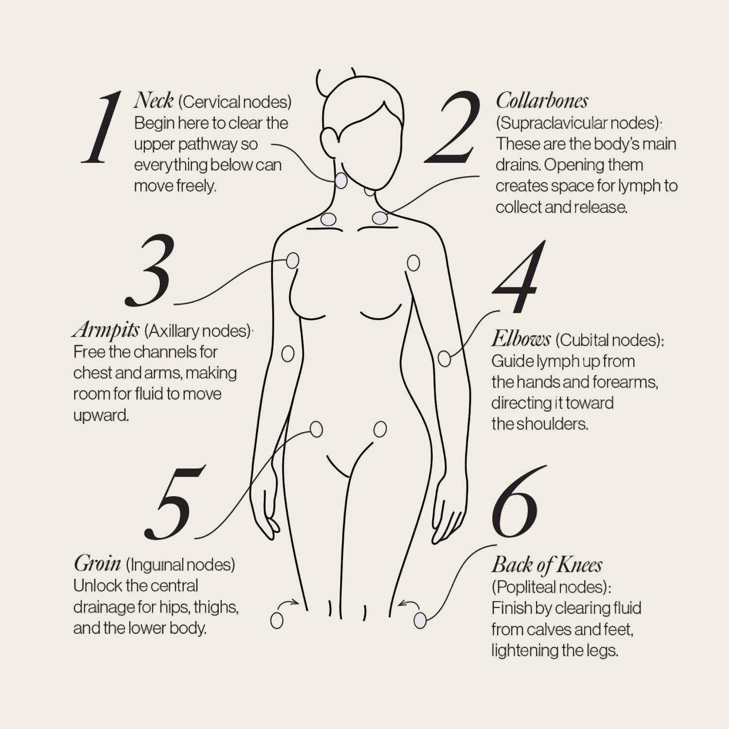 Lymphatic Drainage Dots