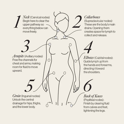 Lymphatic Drainage Dots