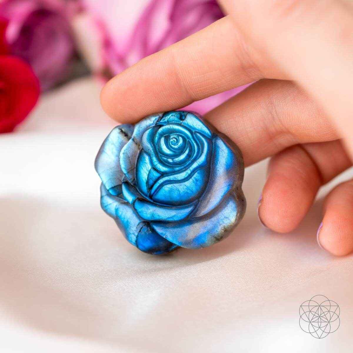 Beautifully Unique - Blossoming Rose of Singularity Cartsfy Inc.