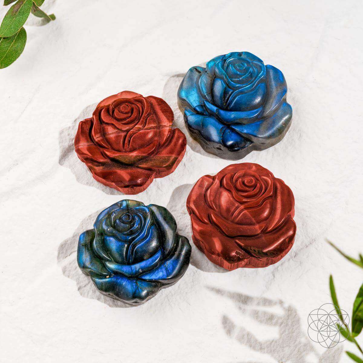 Beautifully Unique - Blossoming Rose of Singularity Cartsfy Inc.