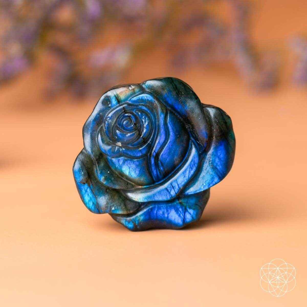 Beautifully Unique - Blossoming Rose of Singularity Cartsfy Inc.