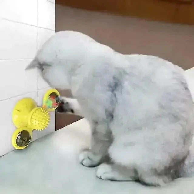 Cat Teases Interactive Pet Toy DailySale Green Yellow Blue Green-Yellow-Blue-