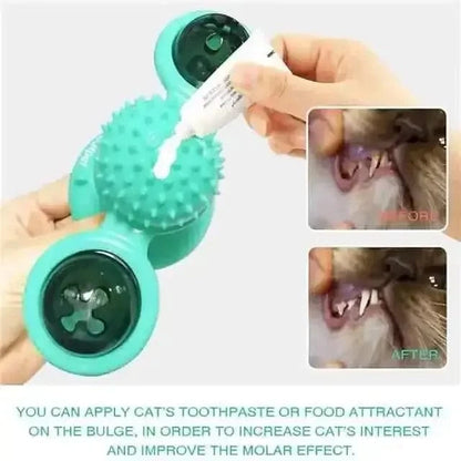 Cat Teases Interactive Pet Toy DailySale Green Yellow Blue Green-Yellow-Blue-
