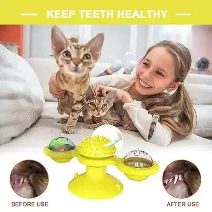 Cat Teases Interactive Pet Toy DailySale Green Yellow Blue Green-Yellow-Blue-