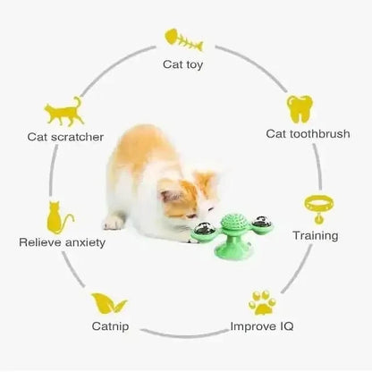 Cat Teases Interactive Pet Toy DailySale Green Yellow Blue Green-Yellow-Blue-