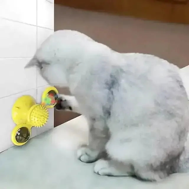 Cat Teases Interactive Pet Toy DailySale Green Yellow Blue Green-Yellow-Blue-