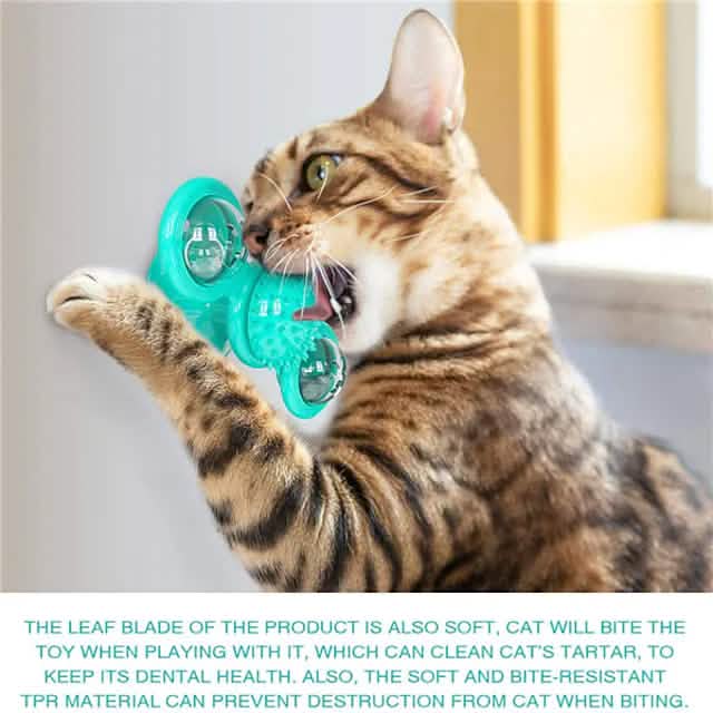 Cat Teases Interactive Pet Toy - Cartsfy Inc.