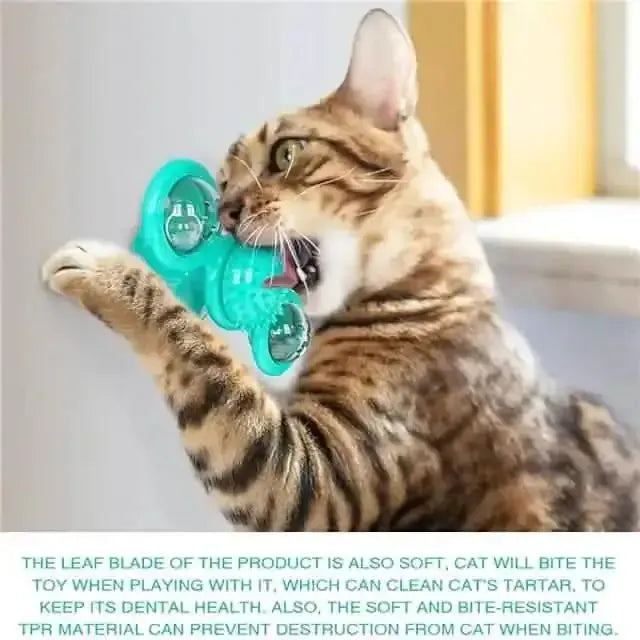 Cat Teases Interactive Pet Toy DailySale Green Yellow Blue Green-Yellow-Blue-