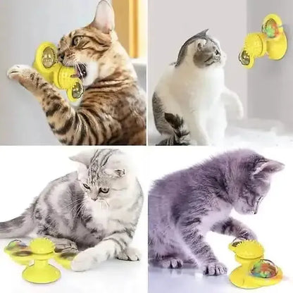 Cat Teases Interactive Pet Toy DailySale Green Yellow Blue Green-Yellow-Blue-