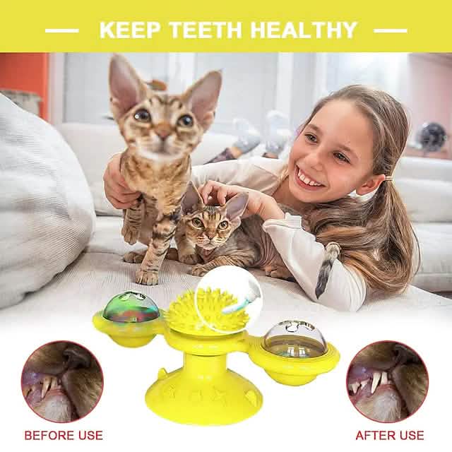 Cat Teases Interactive Pet Toy - Cartsfy Inc.