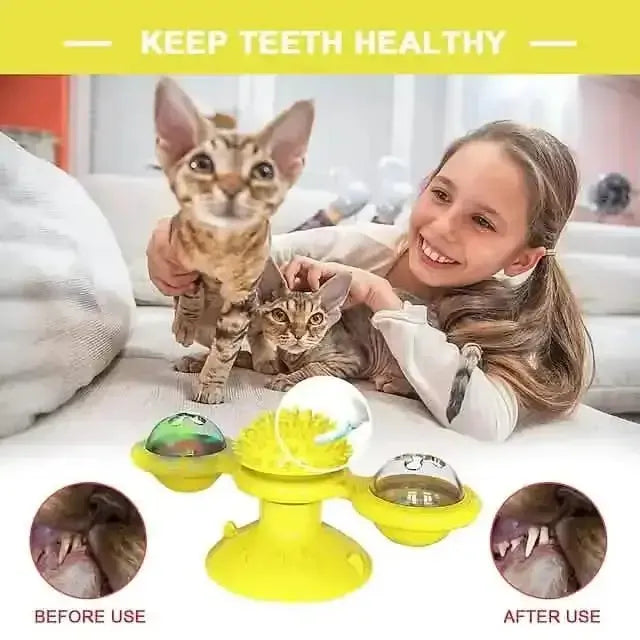 Cat Teases Interactive Pet Toy DailySale Green Yellow Blue Green-Yellow-Blue-
