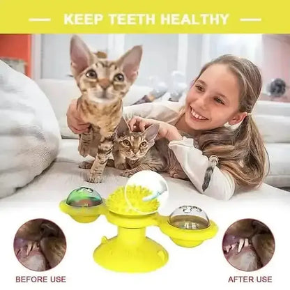 Cat Teases Interactive Pet Toy DailySale Green Yellow Blue Green-Yellow-Blue-
