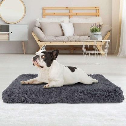 Dog Bed Soft Plush Cushion Cozy Warm Pet Crate Mat Dog Carpet Cartsfy Inc.