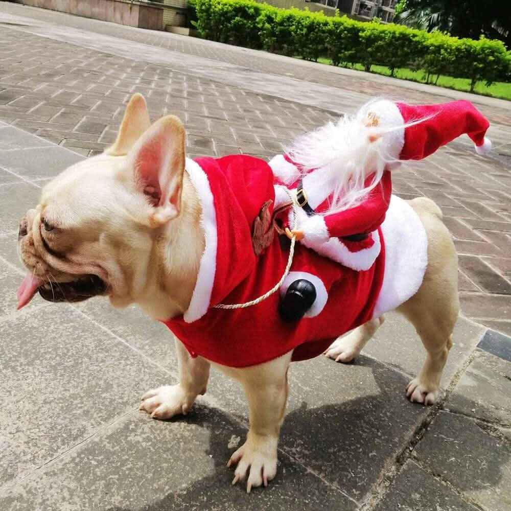 Dog Costume Christmas Pet Clothes Cartsfy Inc.