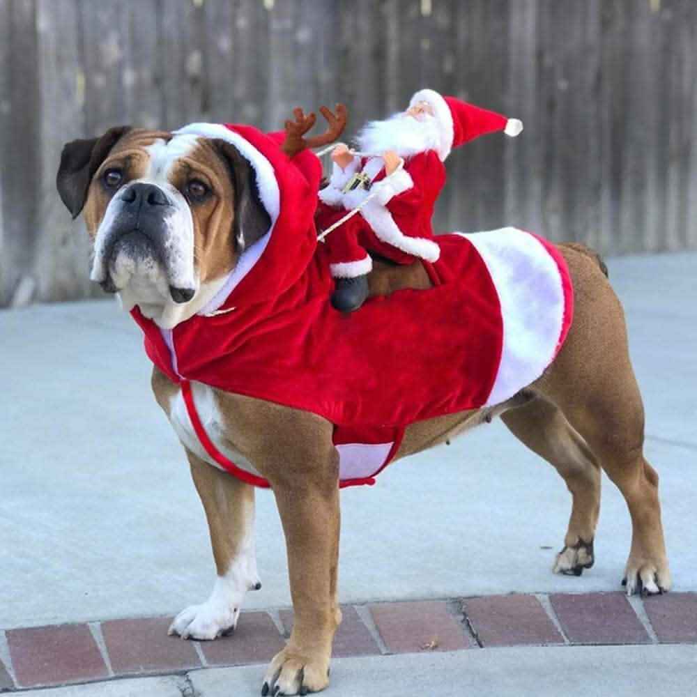 Dog Costume Christmas Pet Clothes Cartsfy Inc.