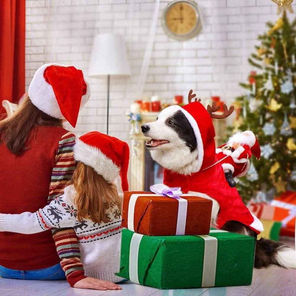 Dog Costume Christmas Pet Clothes Cartsfy Inc.
