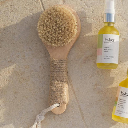 Natural bristle dry brush with wooden handle and hemp twine loop