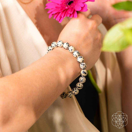 Dalmatian jasper bead bracelet on wrist with round white beads and black speckles