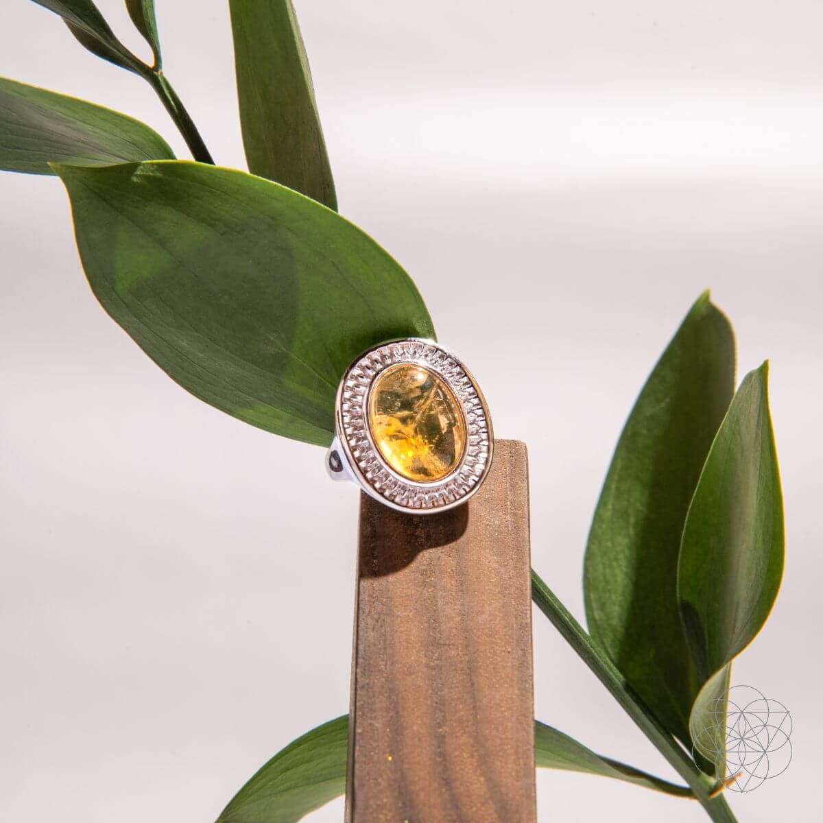 Eye of The Sun - Silver Aura Ring of Attraction Cartsfy Inc.