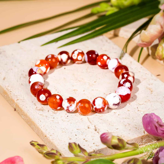 Feminine Force – Carnelian Orca Agate Bracelet Cartsfy Inc.