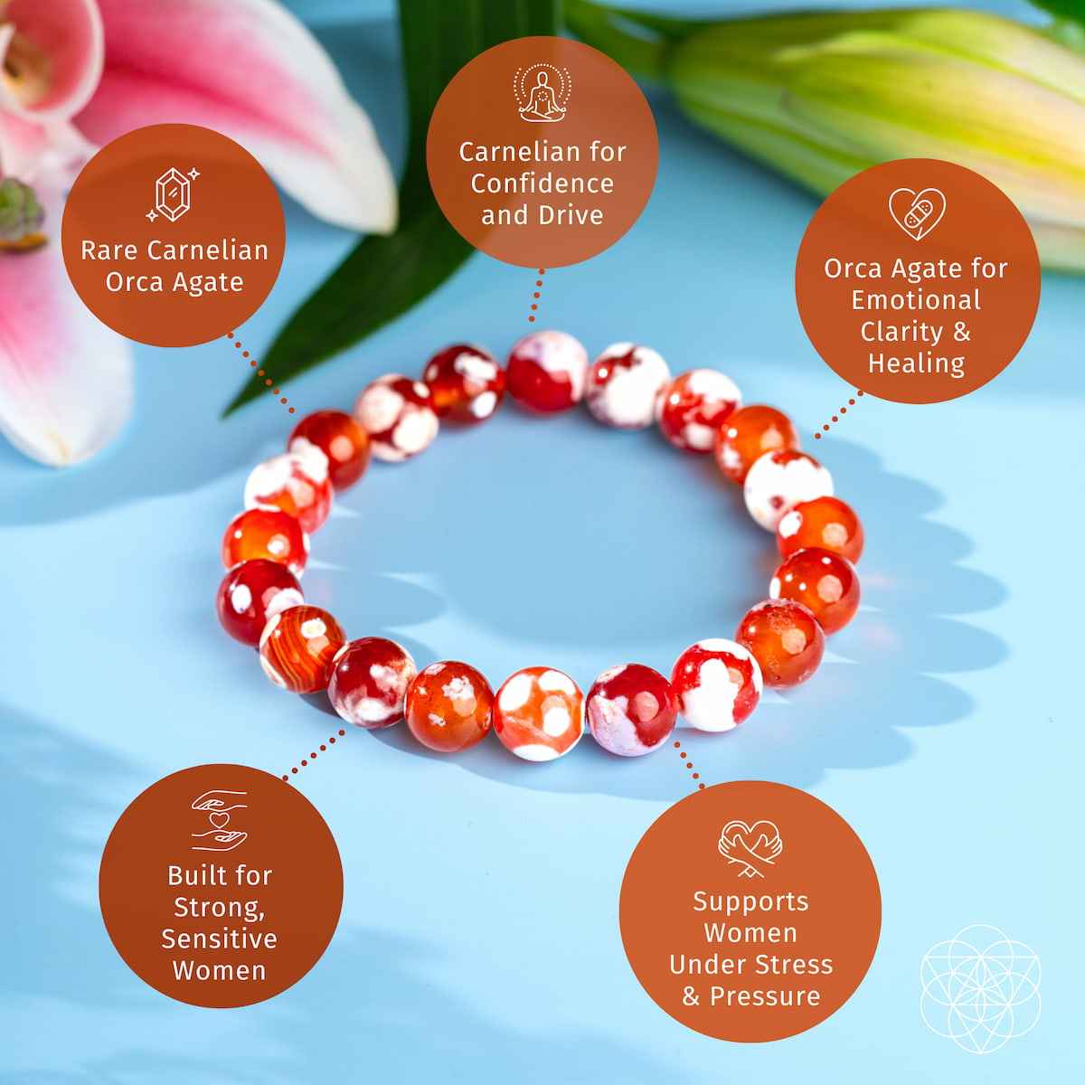 Feminine Force – Carnelian Orca Agate Bracelet - Cartsfy Inc.