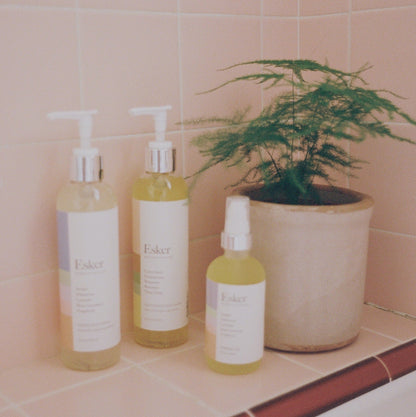 Bathroom shelf with Esker body wash bottle, matching pumps, and a small plant pot
