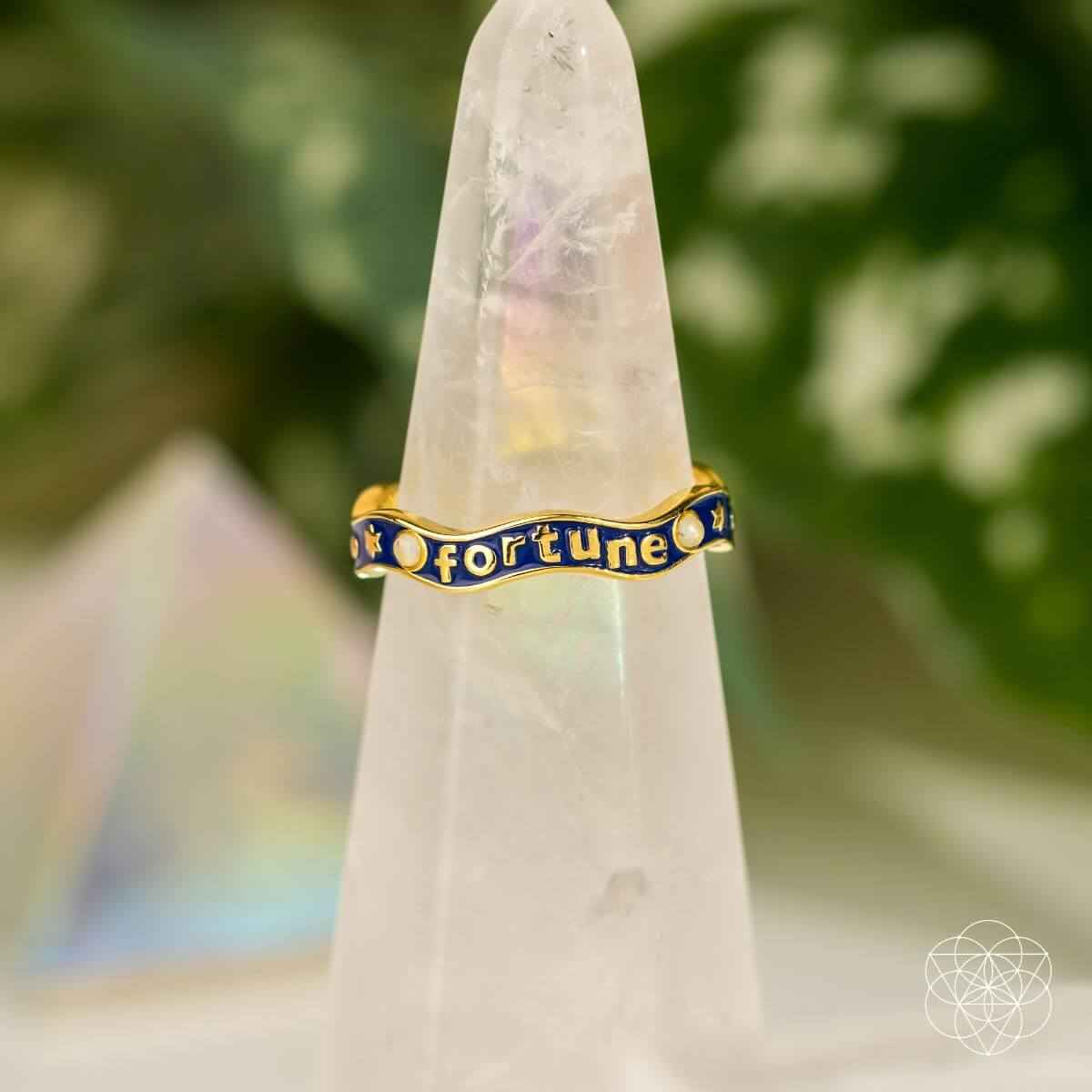 Fortune Magnet - Aquamarine Ring of Prosperity Cartsfy Inc.