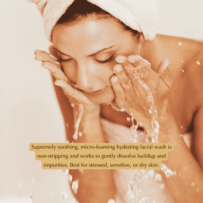 Gentle Hydrating Facial Cleanser – Aloe, Cucumber & Antioxidants (Nut-Free, Gluten-Free, Vegan) Cartsfy Inc.