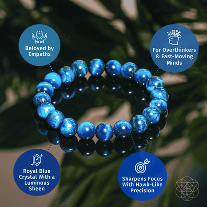 Hawk’s Focus – Royal Blue Tiger’s Eye Bracelet Cartsfy Inc.