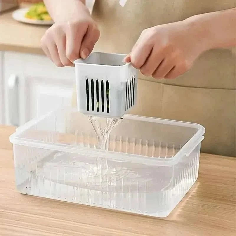 Kitchen Scallion Storage Box DailySale Default Title Default Title-